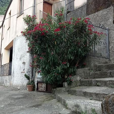 L'Oleandro Apartment Maratea Exterior photo